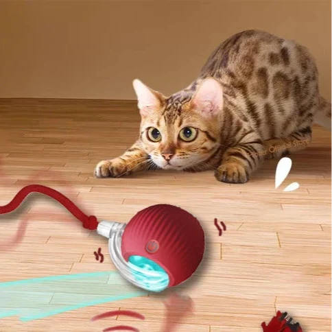 Smart Rolling Cat Ball Toy