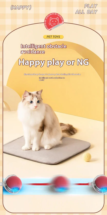 Smart Rolling Cat Ball Toy