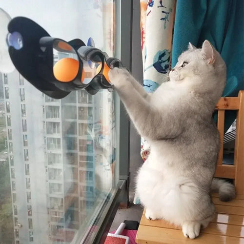 Cat Track Ball Toy