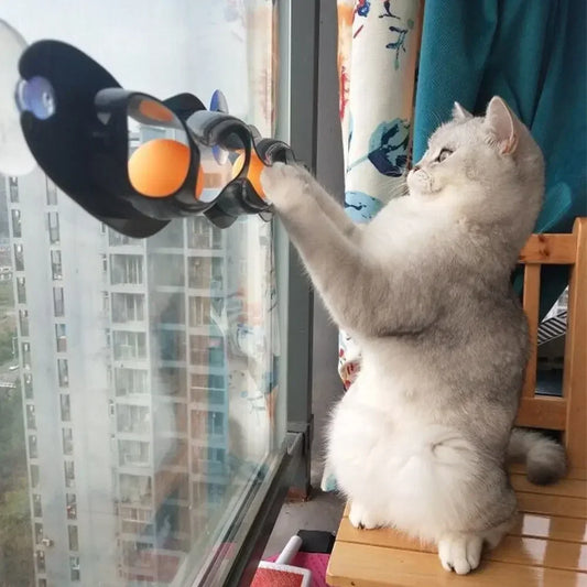 Cat Track Ball Toy