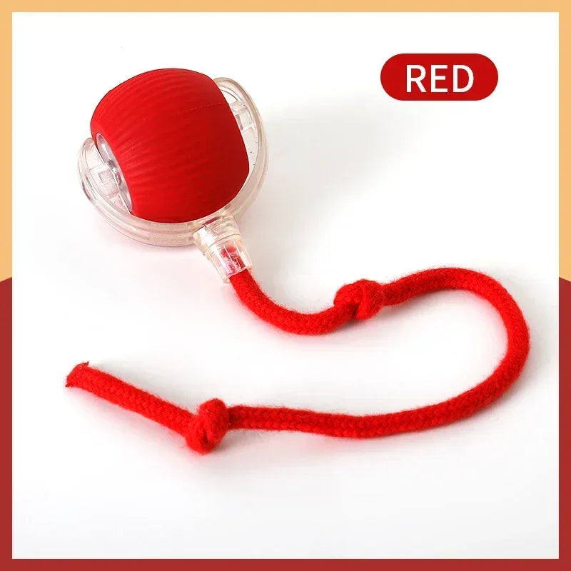 Smart Rolling Cat Ball Toy