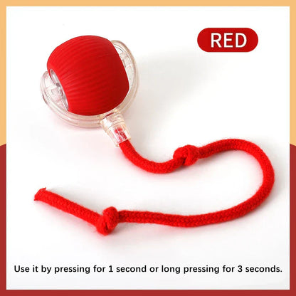 Smart Interactive Dog Toy Ball